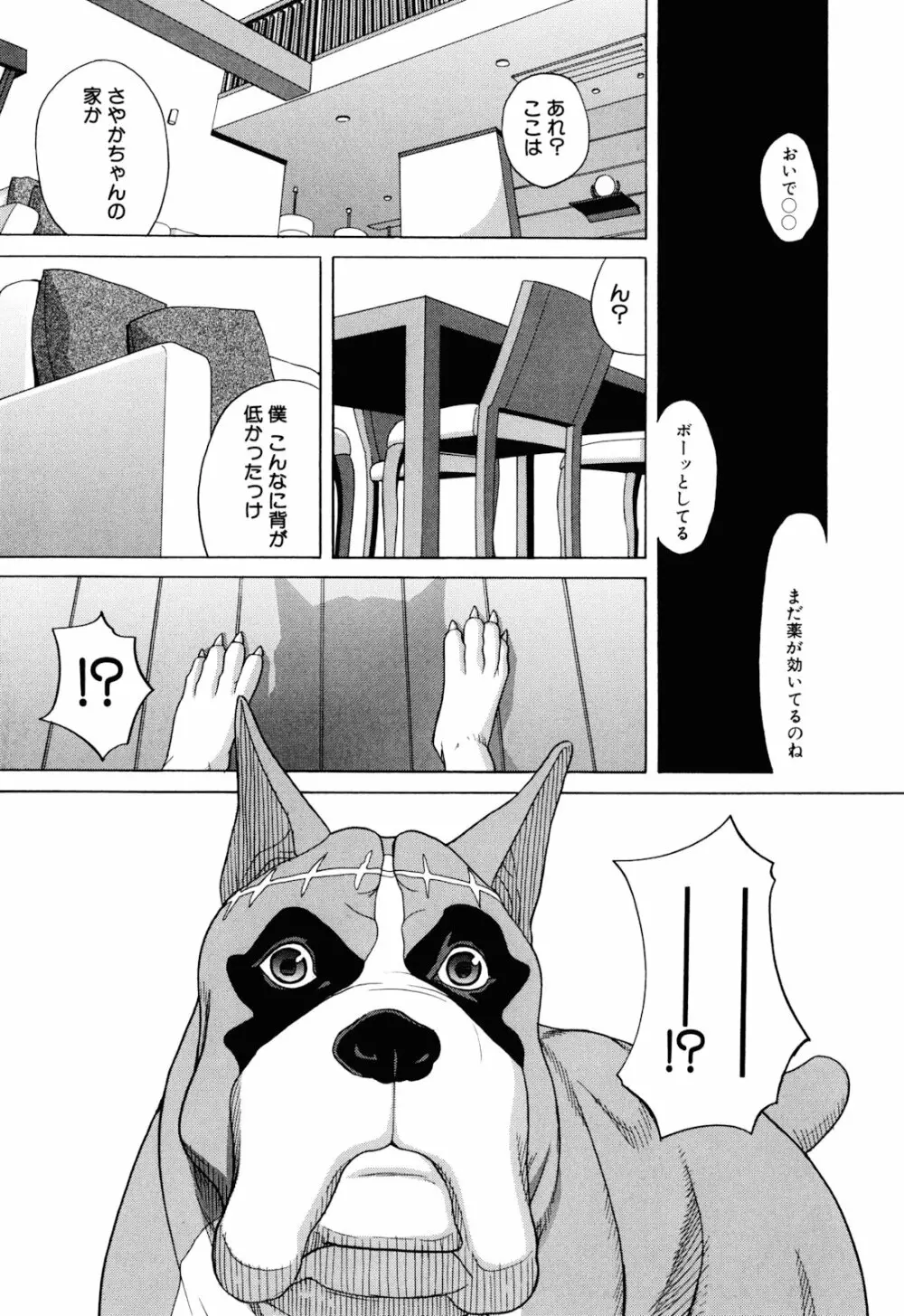 犬の生活 Page.11