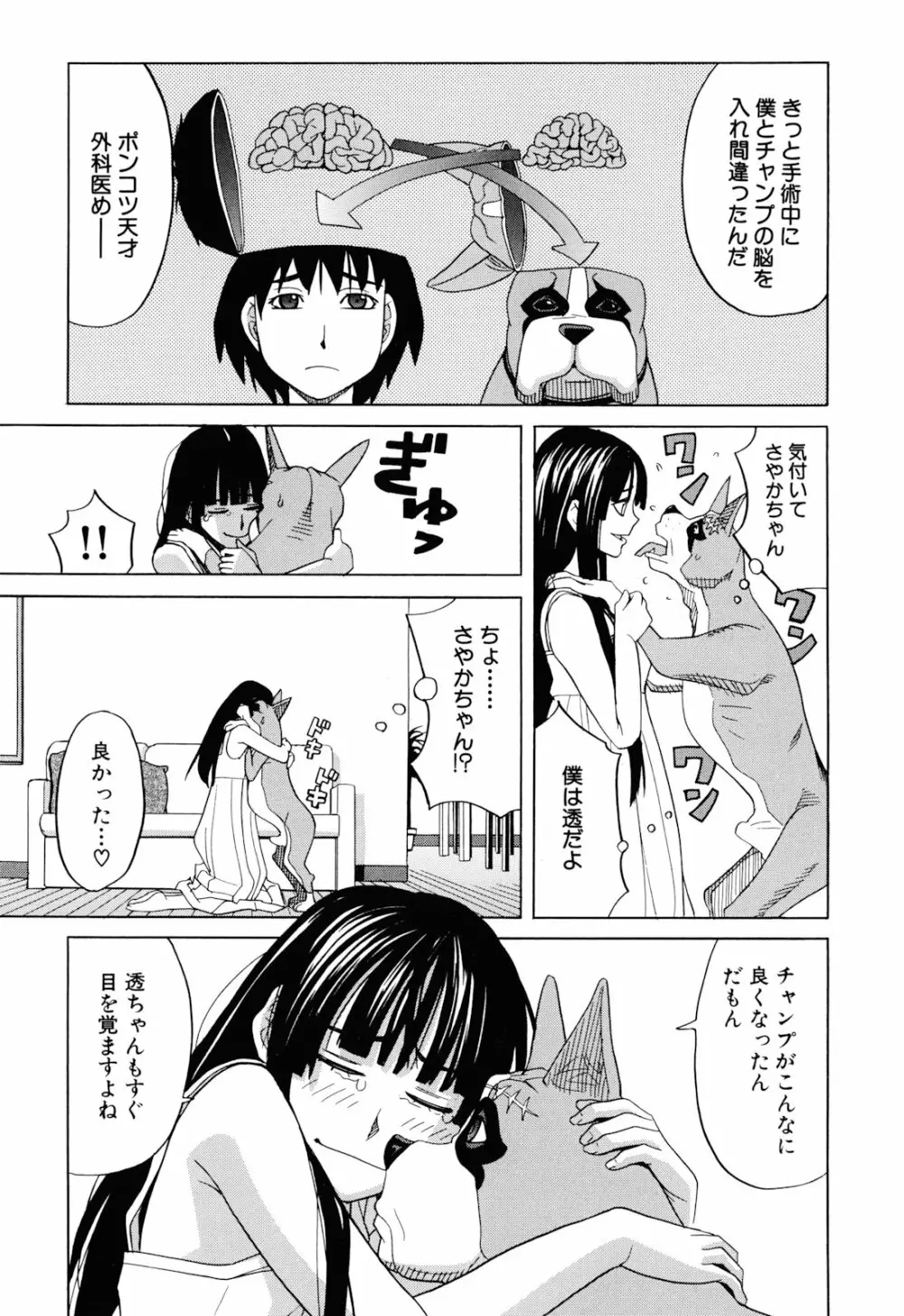 犬の生活 Page.13