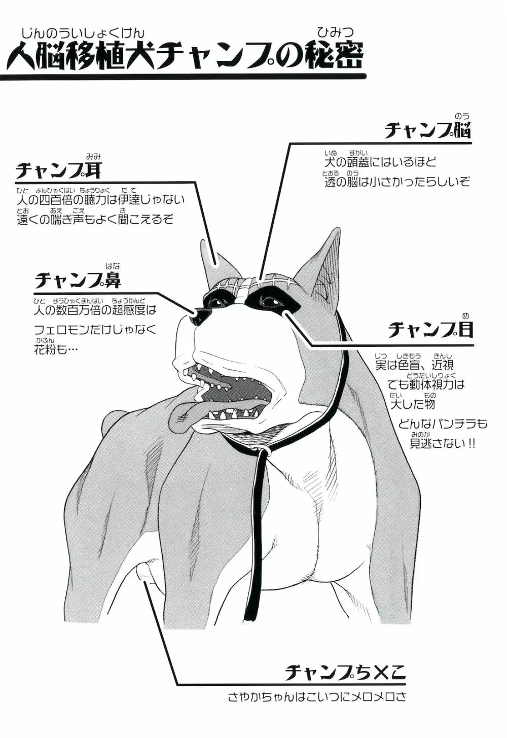 犬の生活 Page.6
