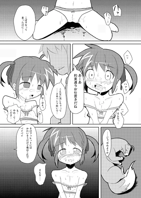 「いちろー」私がなのはを助けるから Page.13