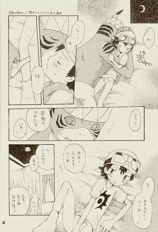 天然同胞宮殿遠近法の書 Page.29