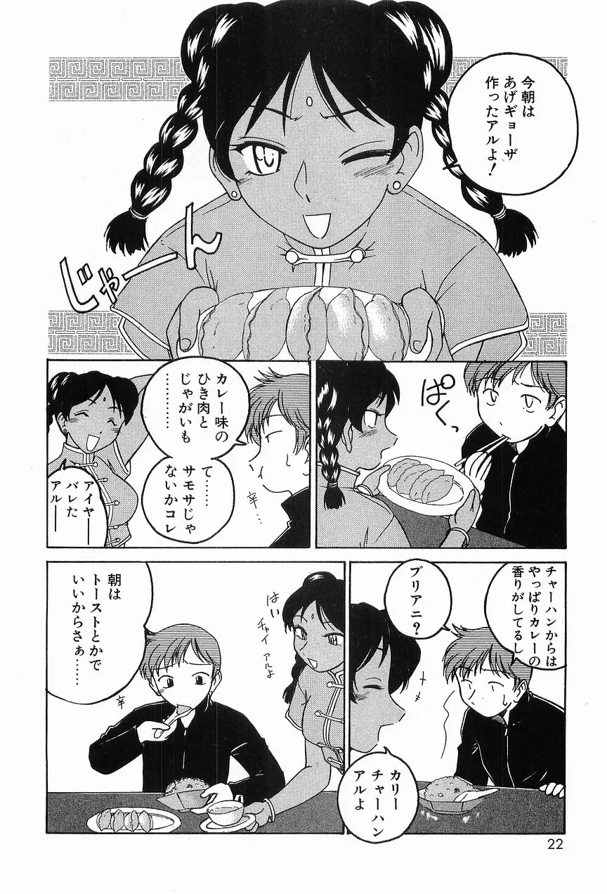 ガラムマサラはかくし味♡ Page.26