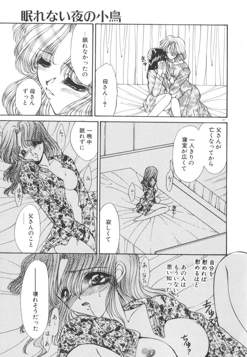 眠れない夜の小鳥 Page.102