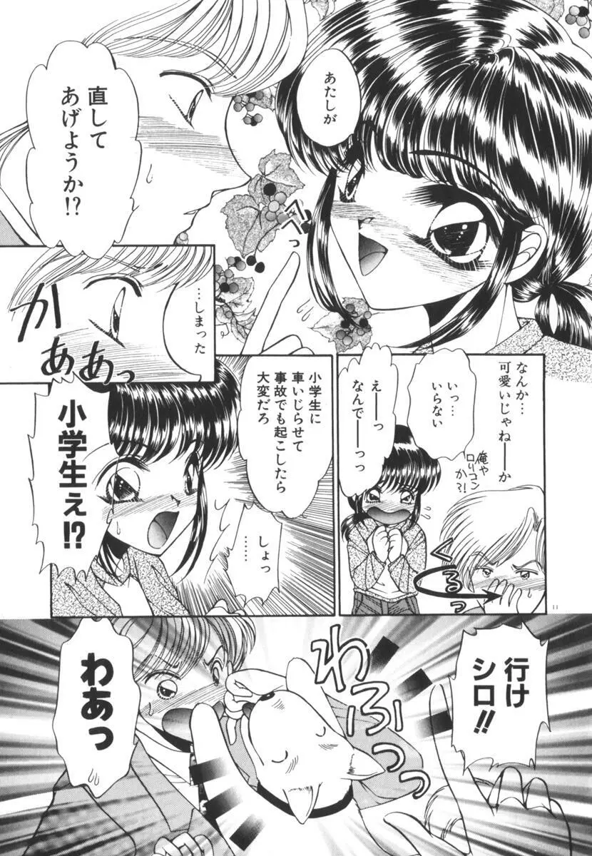 眠れない夜の小鳥 Page.16