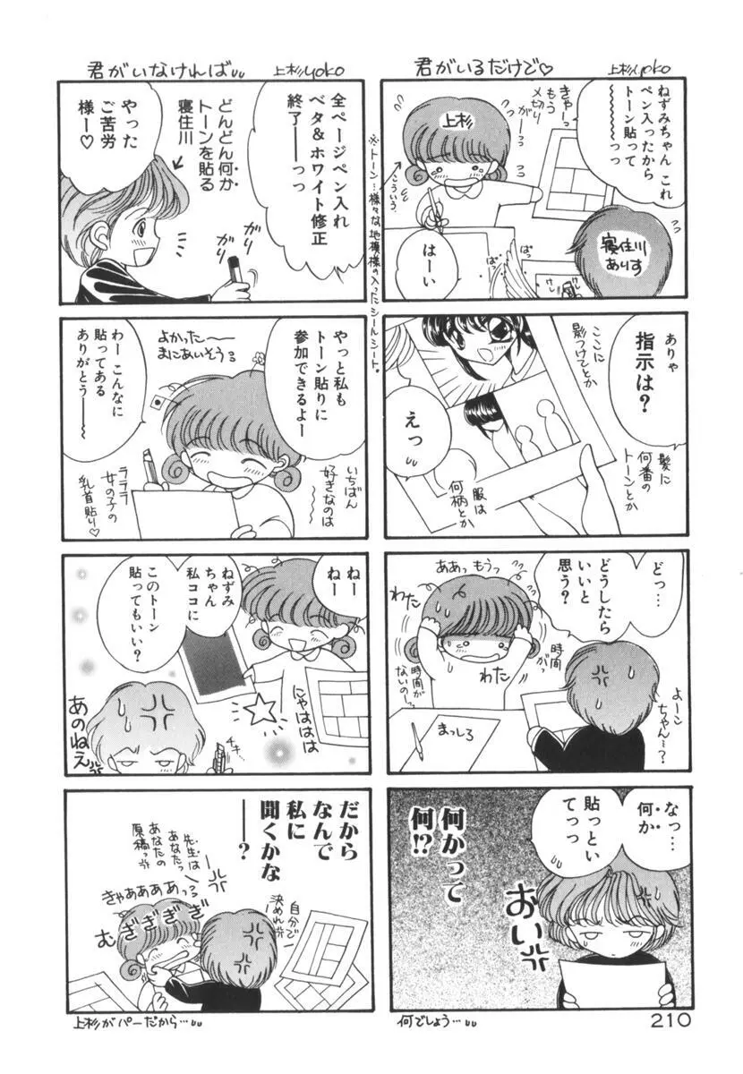 眠れない夜の小鳥 Page.215