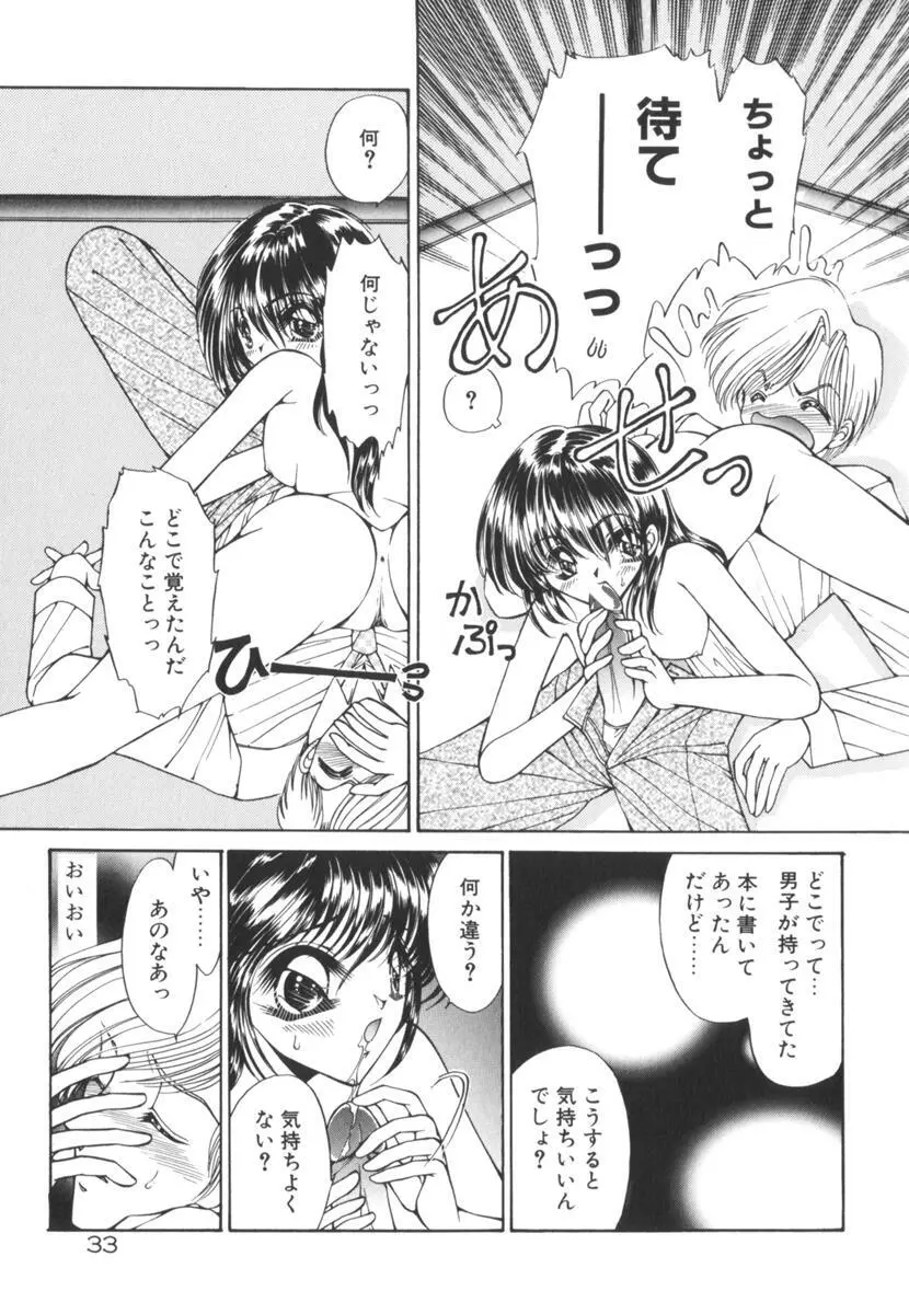 眠れない夜の小鳥 Page.38