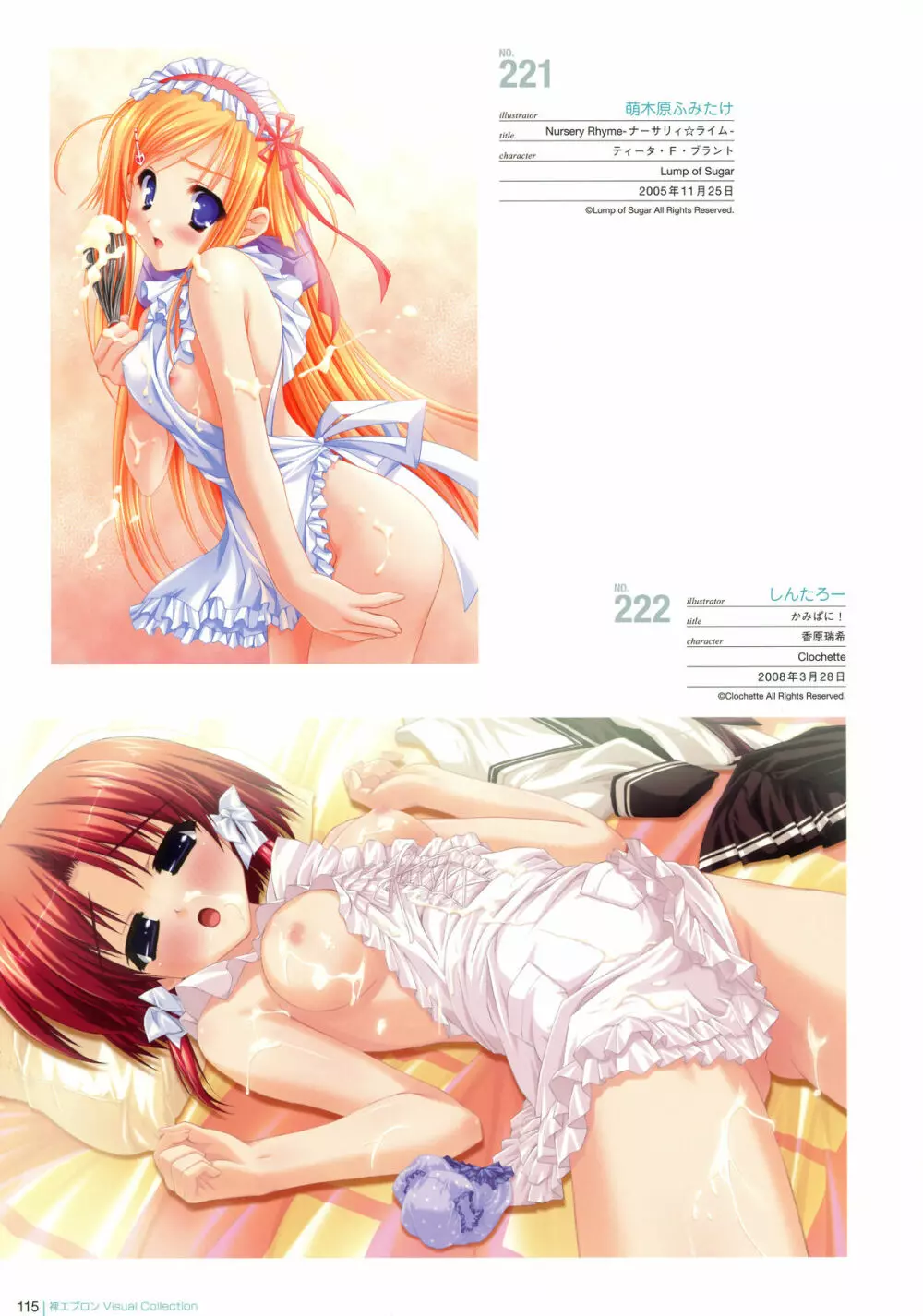 裸エプロン Visual Collection Page.114