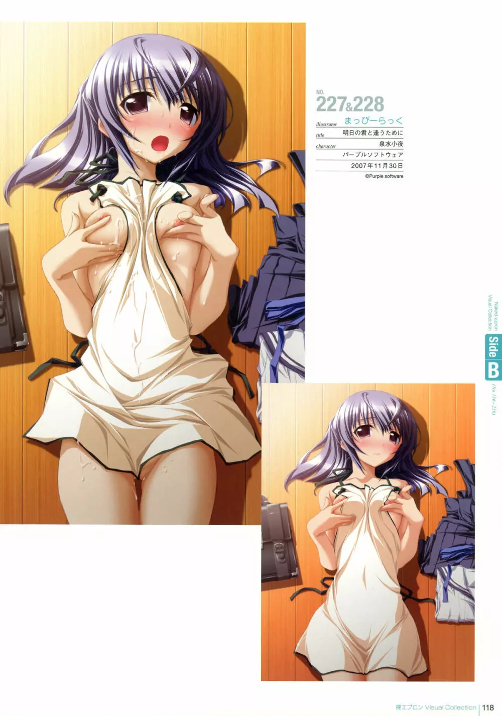 裸エプロン Visual Collection Page.117
