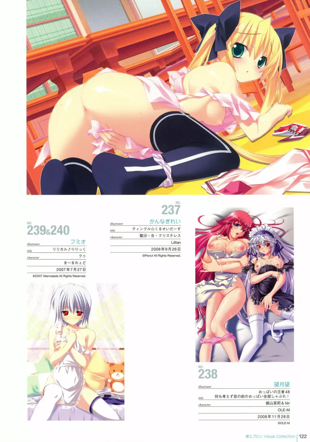 裸エプロン Visual Collection Page.121