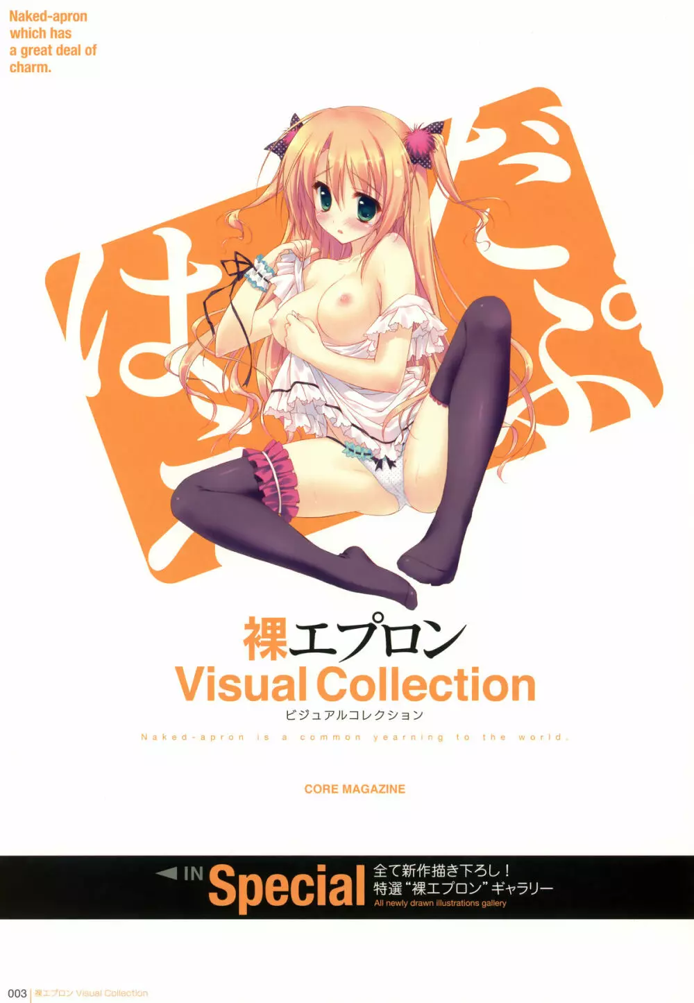 裸エプロン Visual Collection Page.3