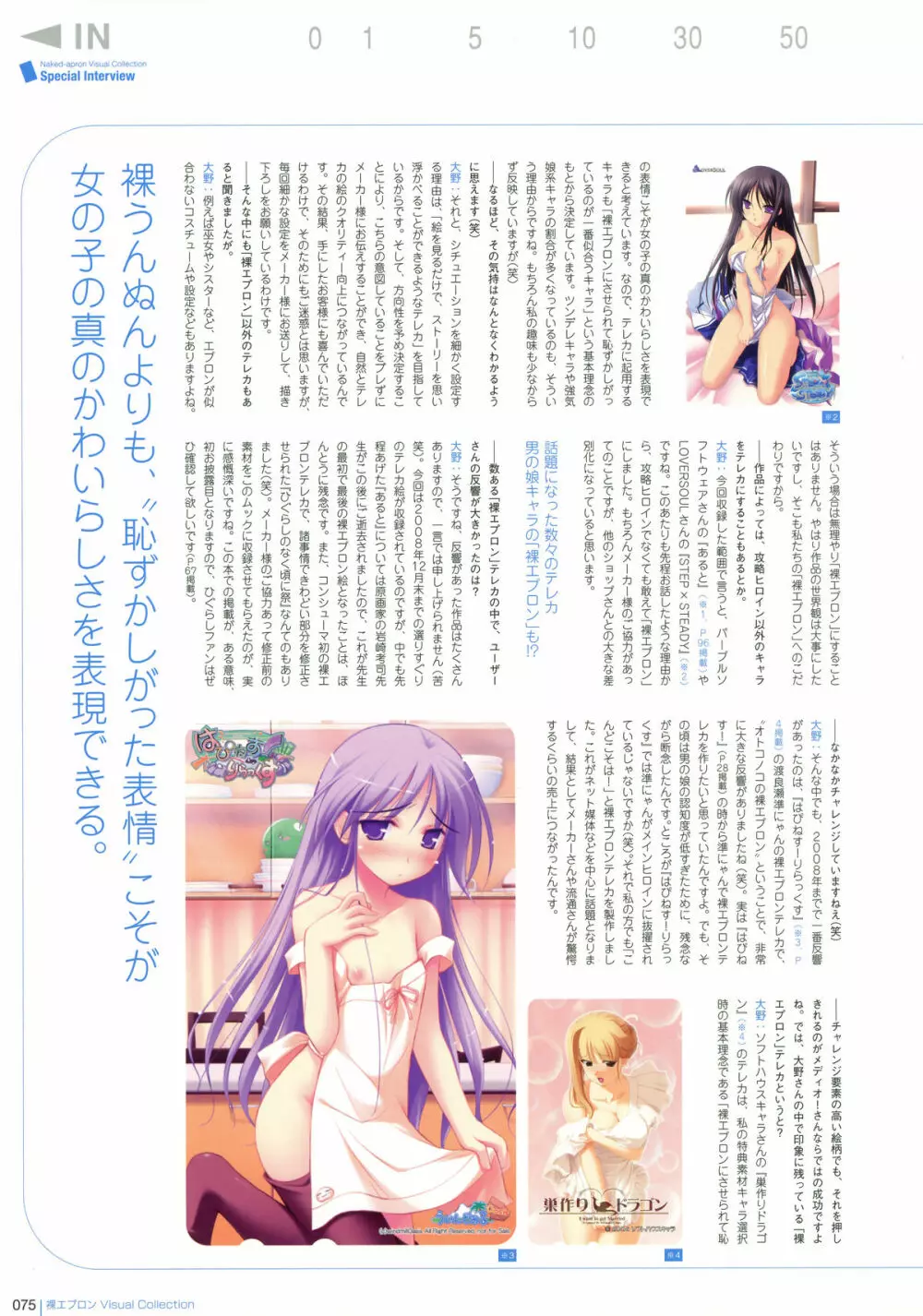 裸エプロン Visual Collection Page.74