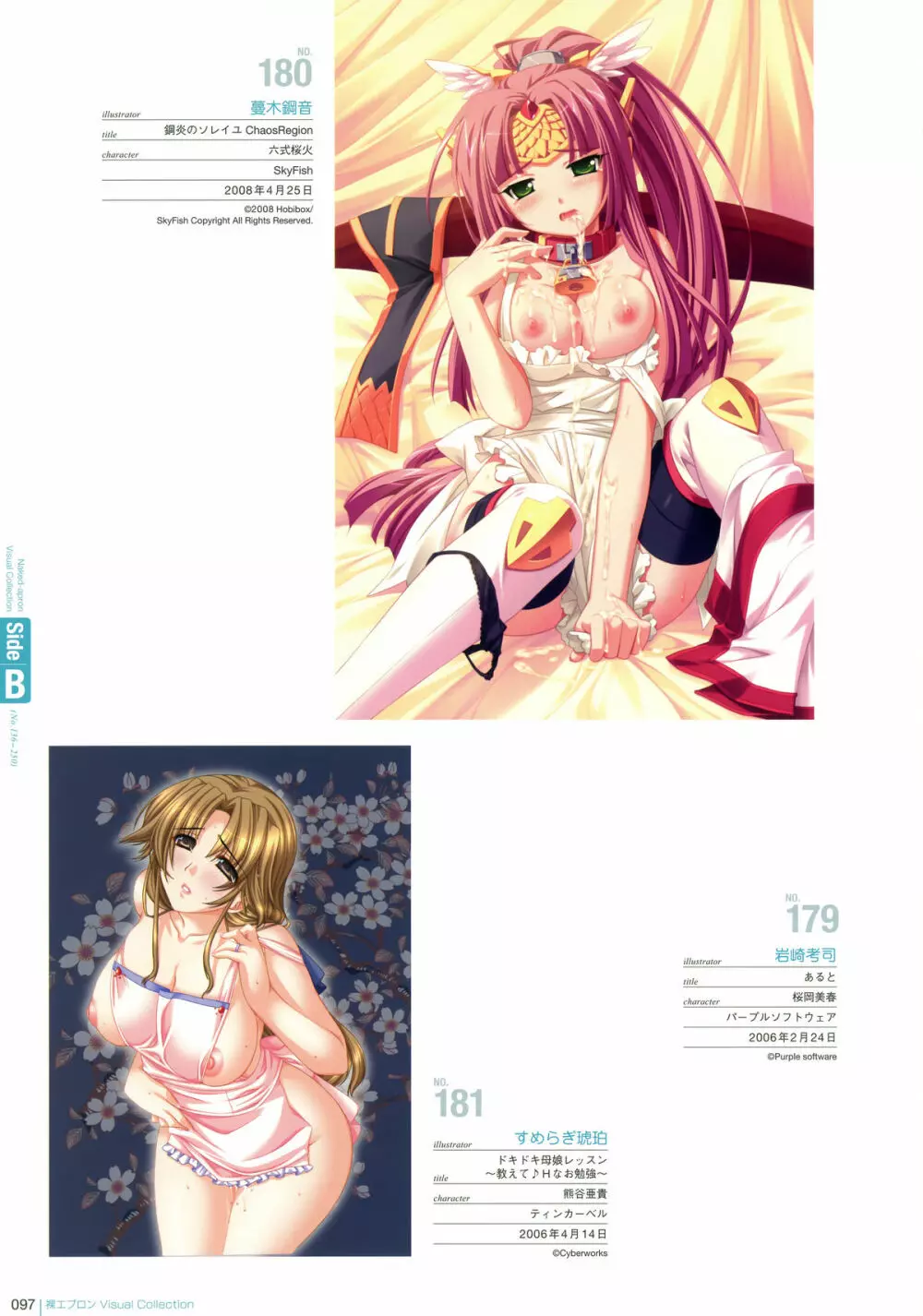 裸エプロン Visual Collection Page.96