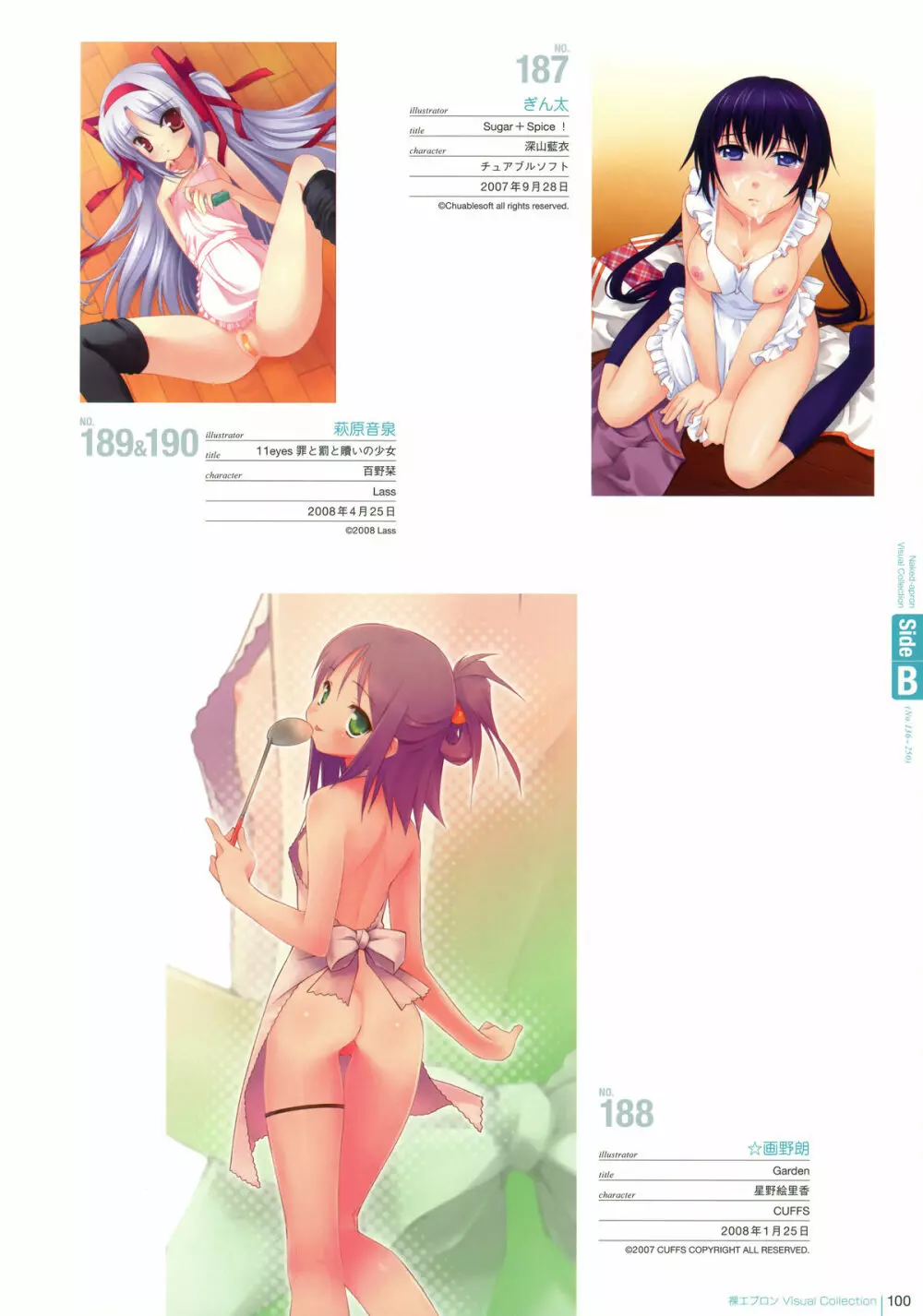 裸エプロン Visual Collection Page.99