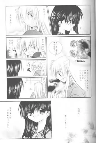 森の中の小さな翼 Page.18