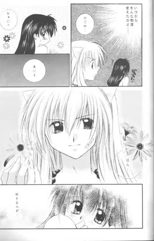 森の中の小さな翼 Page.54