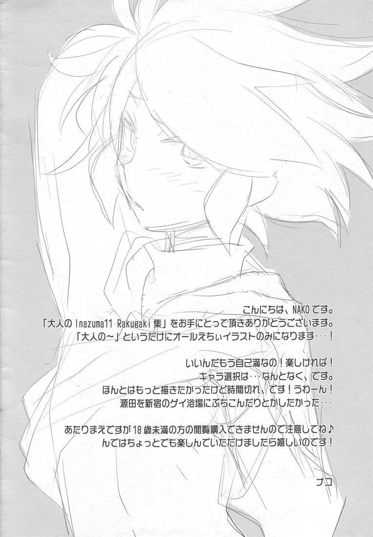 大人のInazuma11 Rakugaki集 Page.2