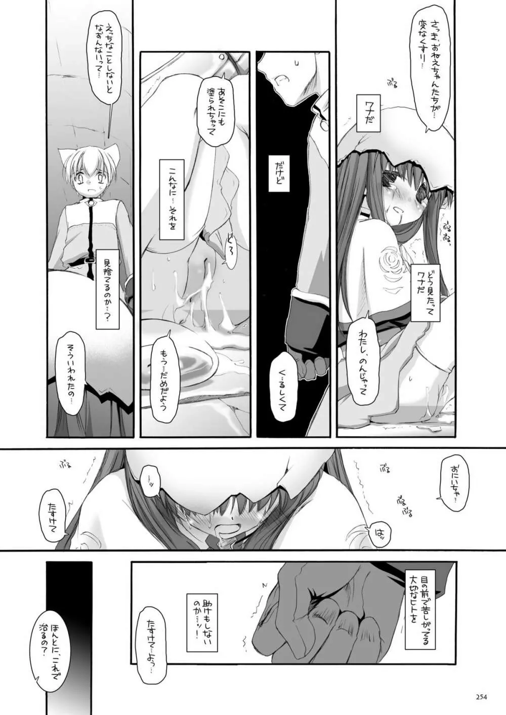 DL-RO総集編01 Page.253