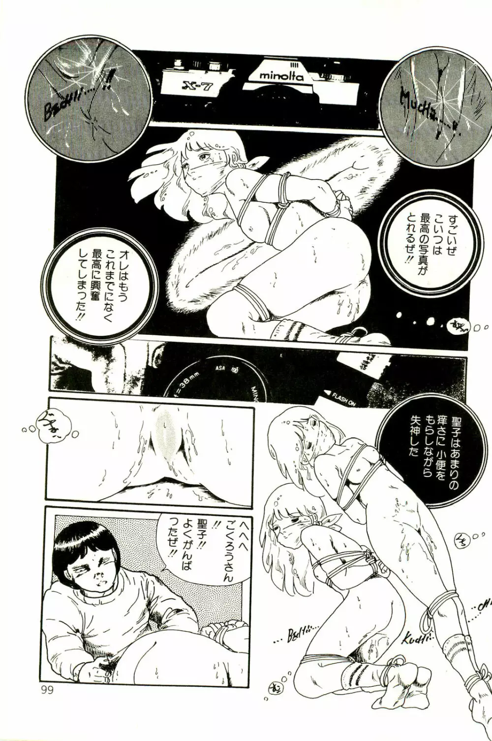 りぼんと妖精 Page.101