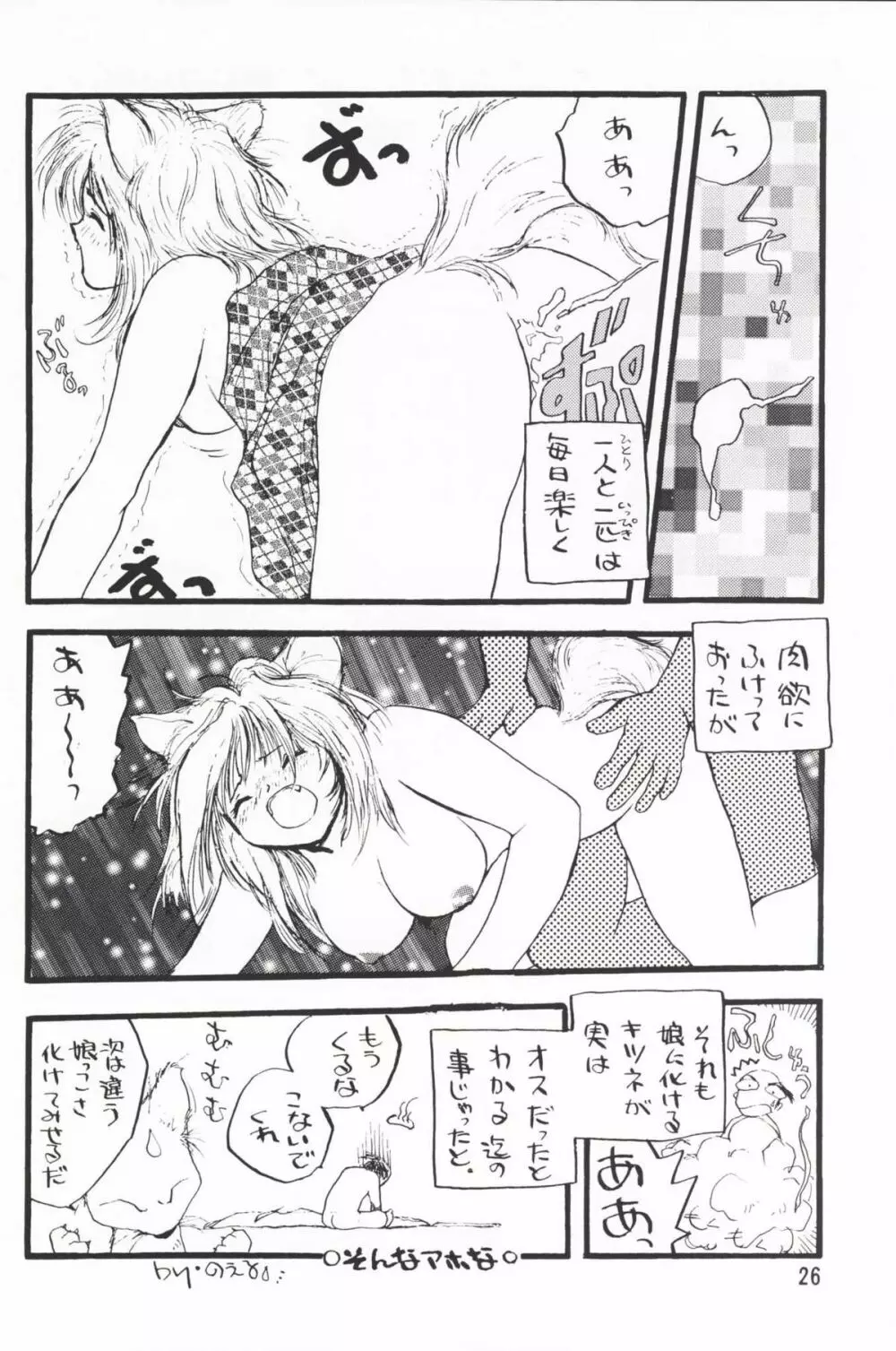 Plus-Y 25 けもみみっくす Page.25