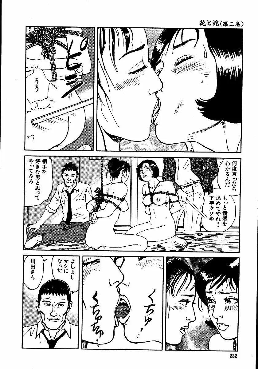 花と蛇 第二集 Page.237