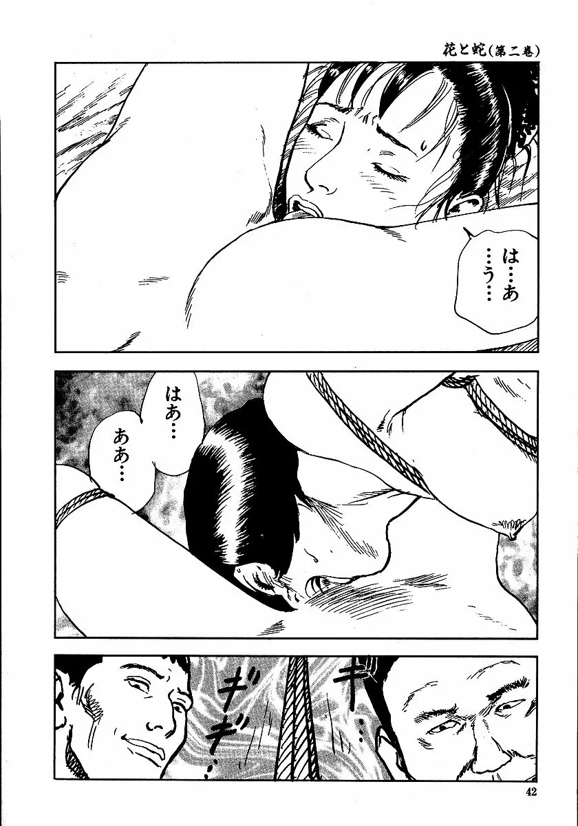 花と蛇 第二集 Page.47