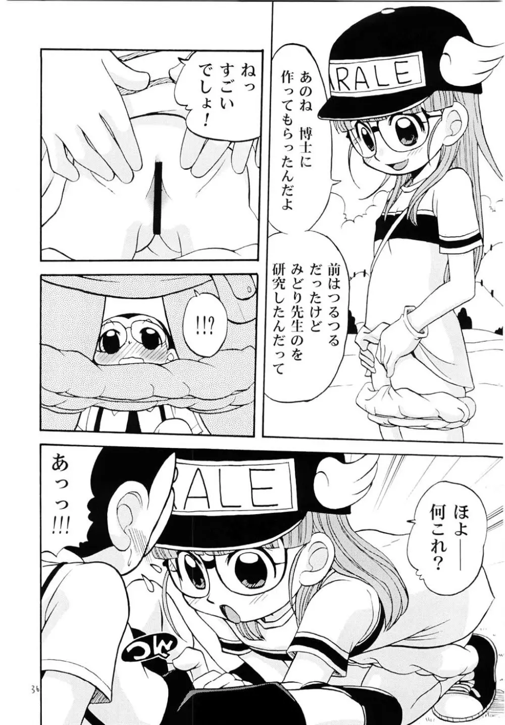 PROJECT ARALE Page.35