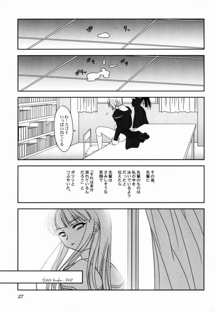 - Shoujo Bunko Page.27