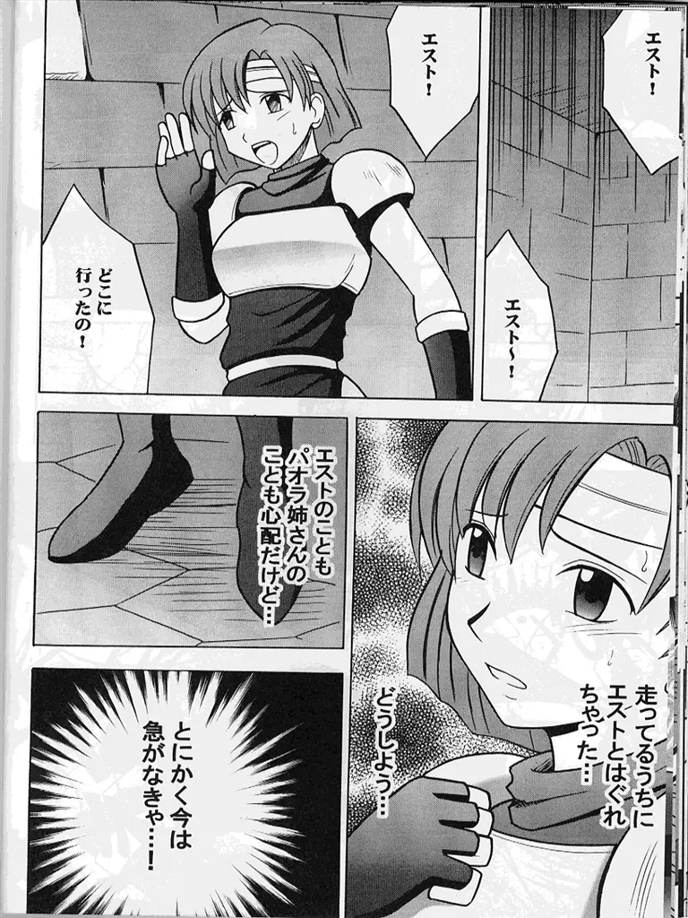 紋章のすべて Page.23