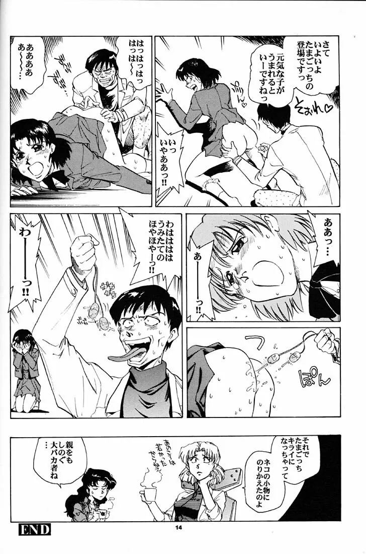 もっと恥ずかしいNERV Page.13