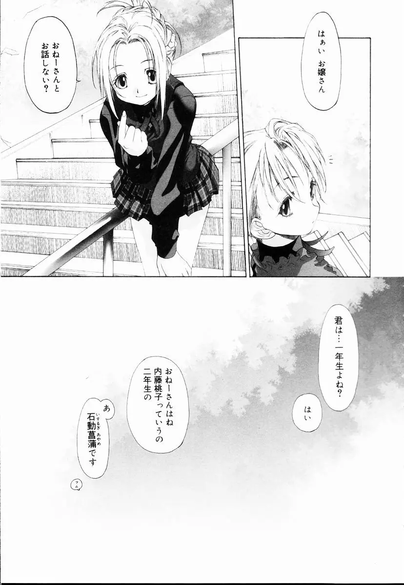 少女セクト + 虎の穴配布ペーパー Page.11