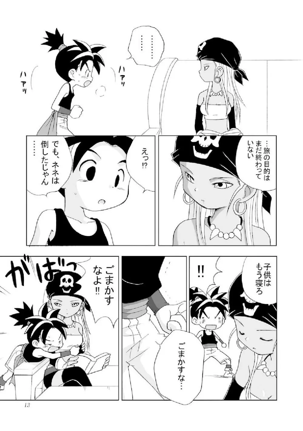 種 Page.13