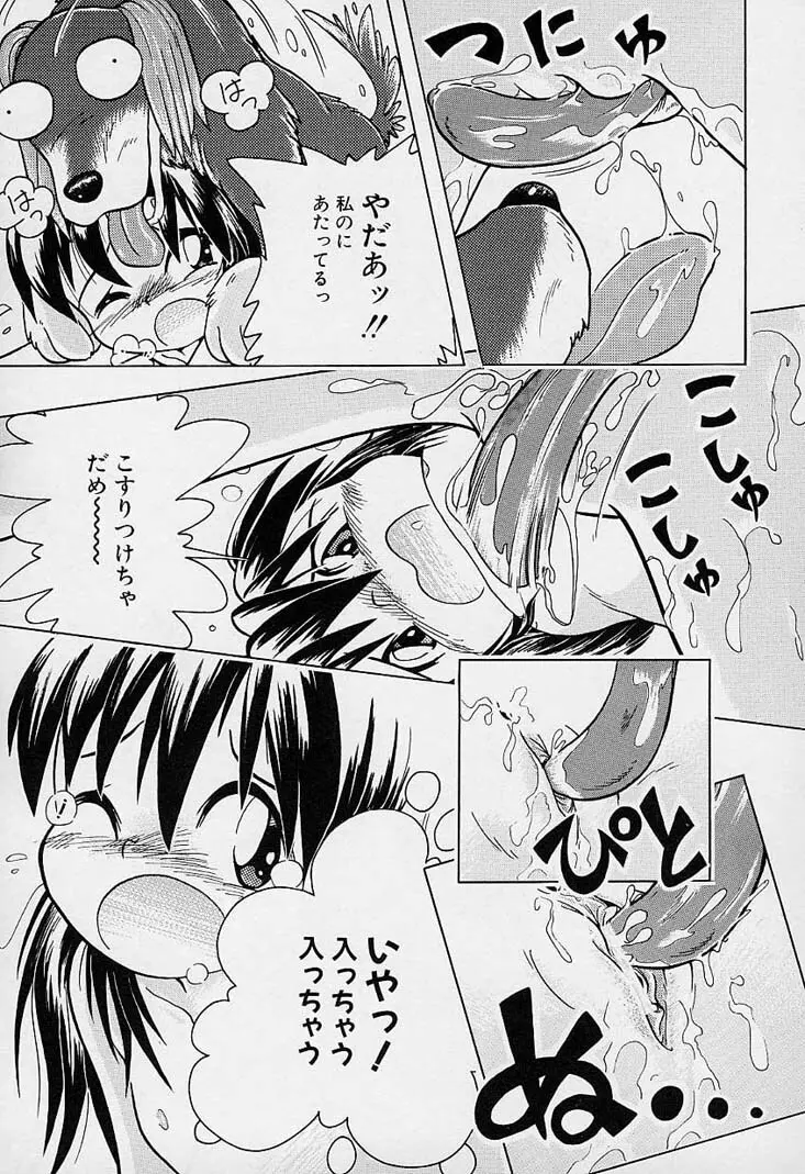 ポケットに好奇心 Page.146