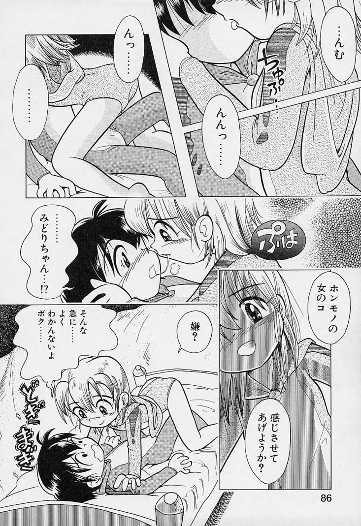 ポケットに好奇心 Page.87