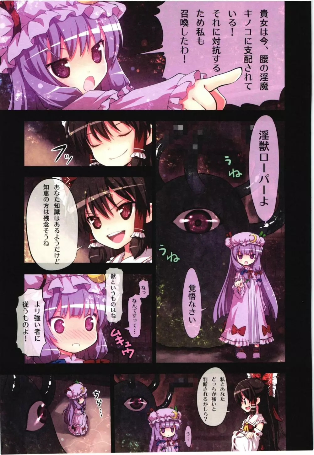 (C80) [りとる☆はむれっと、にゃんふぇっと (ら～☆きぃ)] 鬼畜王レイム-東方紅魔郷攻略本 -紅魔館編- (東方Project) Page.6