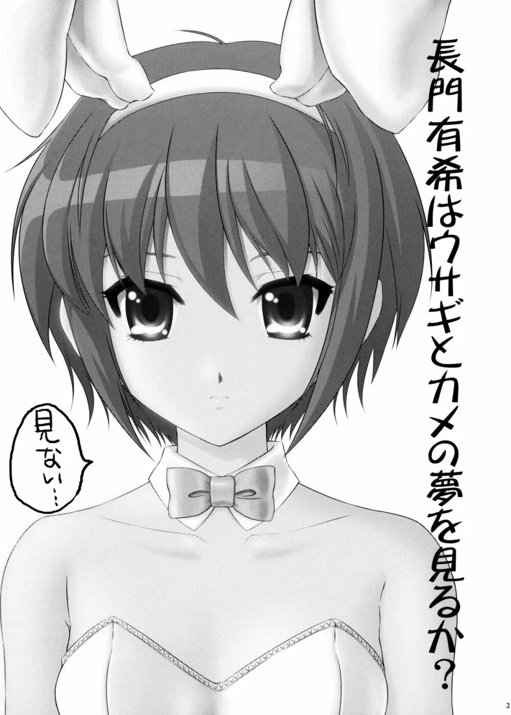 長門有希はウサギとカメの夢をみるか? Page.2