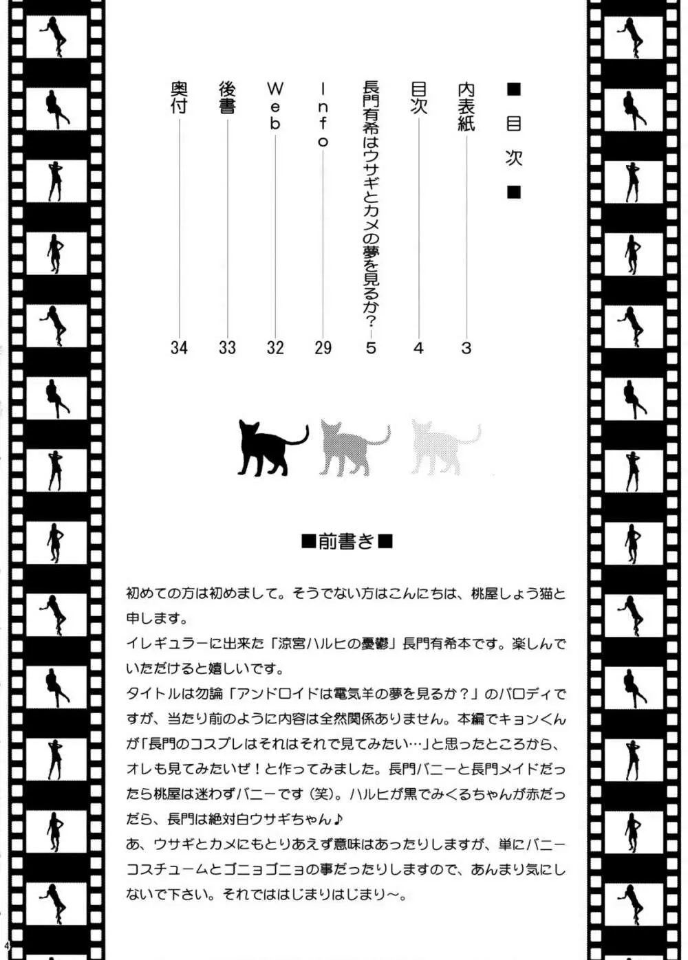 長門有希はウサギとカメの夢をみるか? Page.3