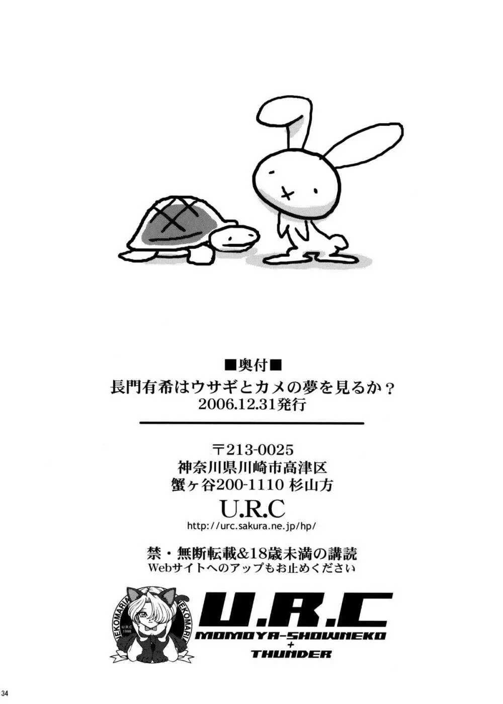 長門有希はウサギとカメの夢をみるか? Page.33