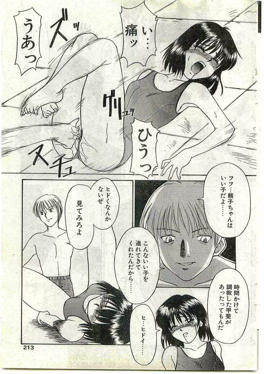 COMIC パピポ外伝 1998年10月号 Vol.51 Page.211