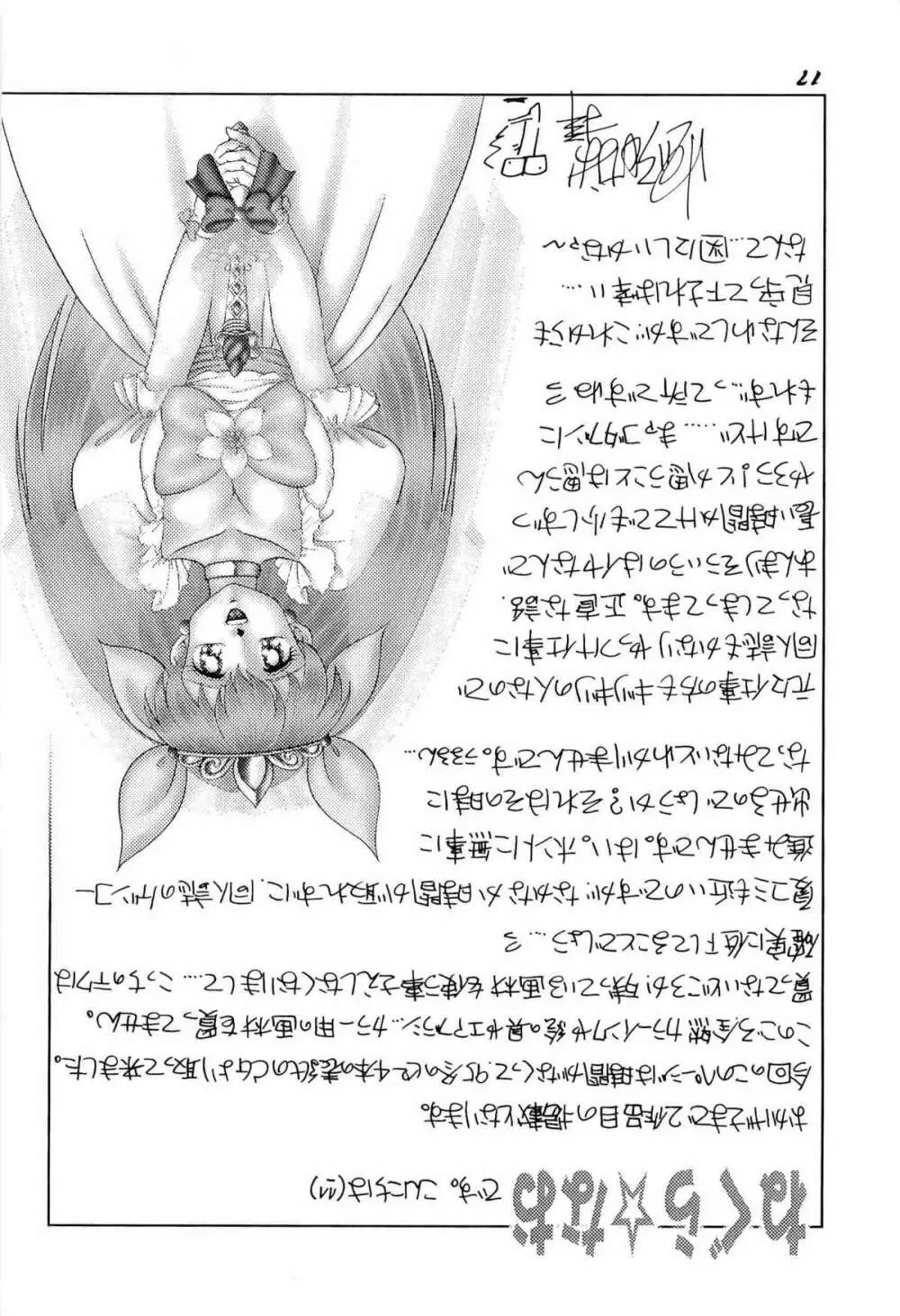 アニパロ美姫2 Page.20