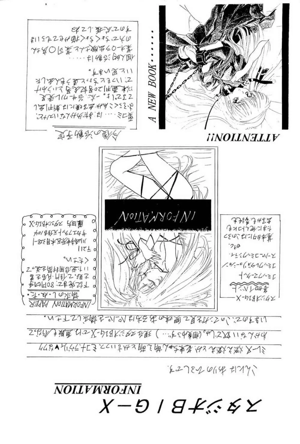 アニパロ美姫2 Page.21
