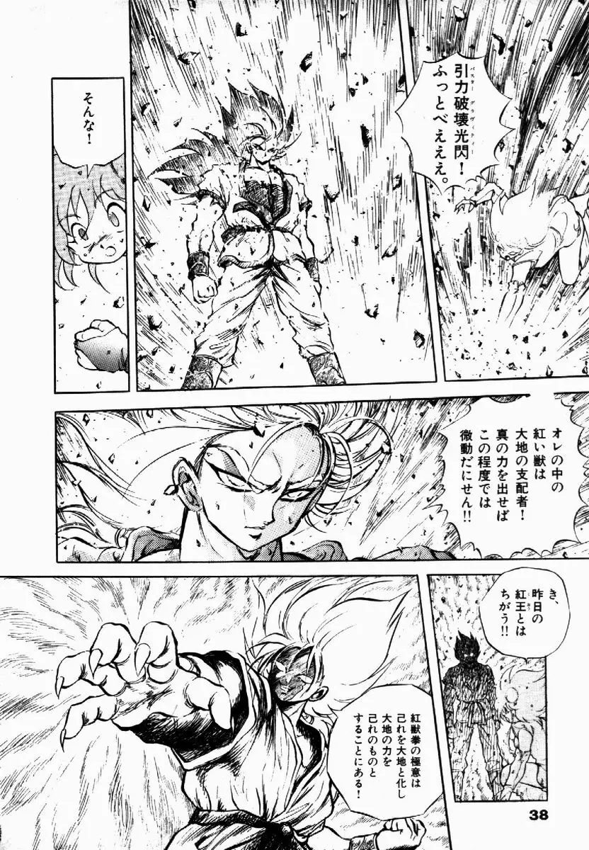 ライジング・ビースト 麗々 1 Page.39