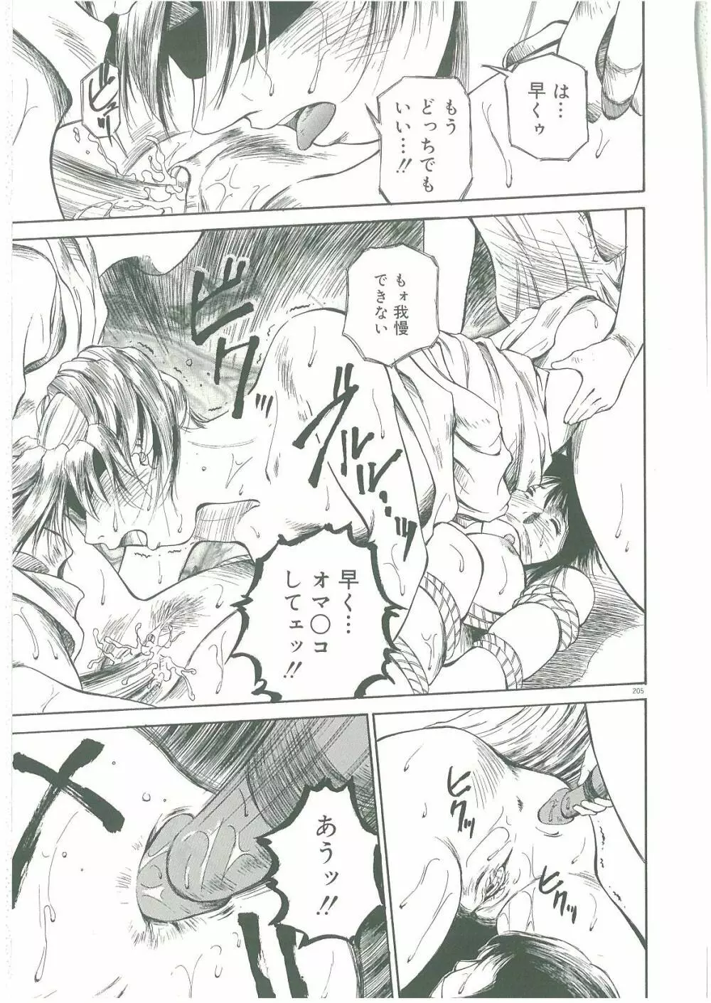 淫者たちの迷宮 Page.207