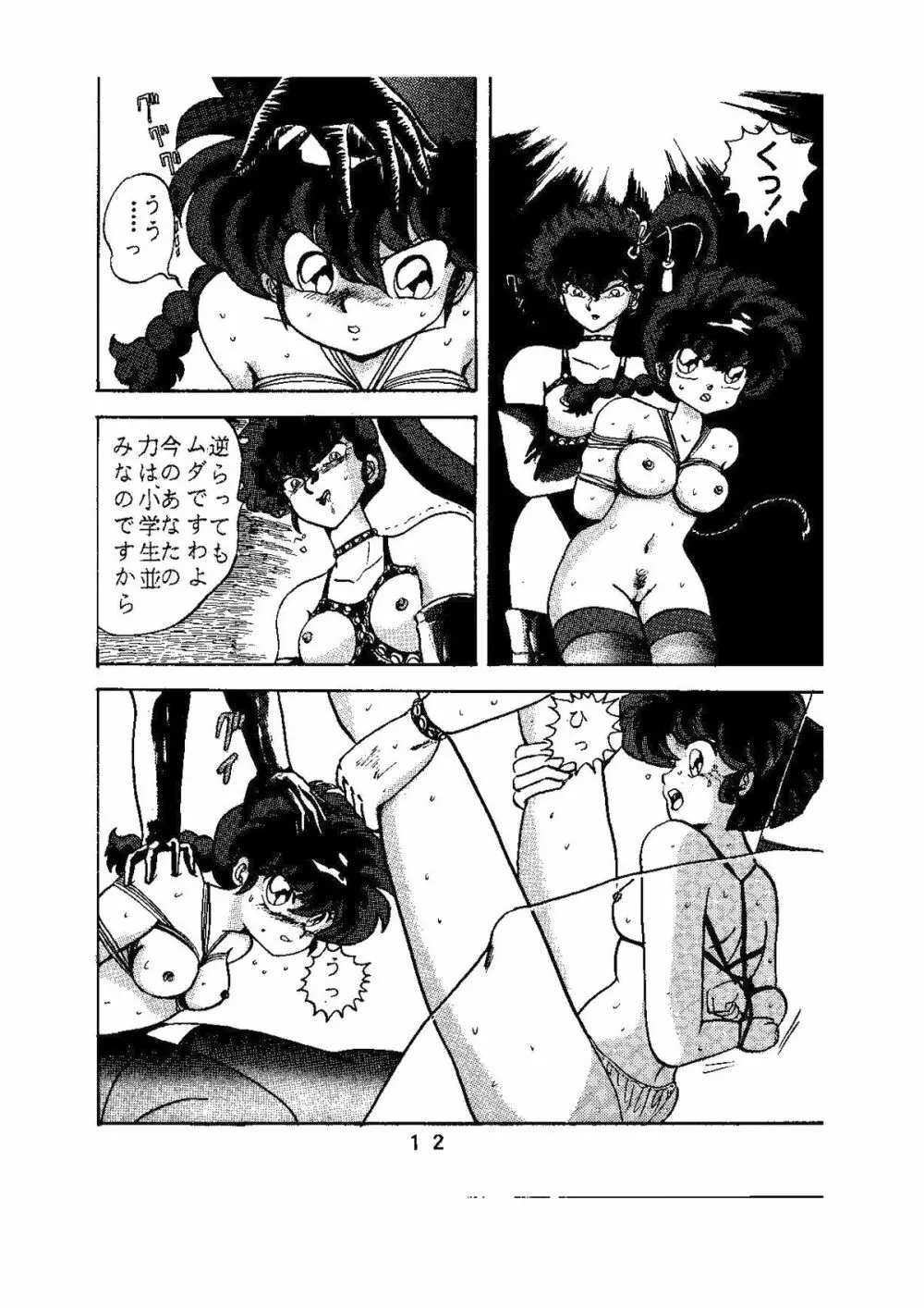 sadistic LaserDisc 黒薔薇館 Page.13