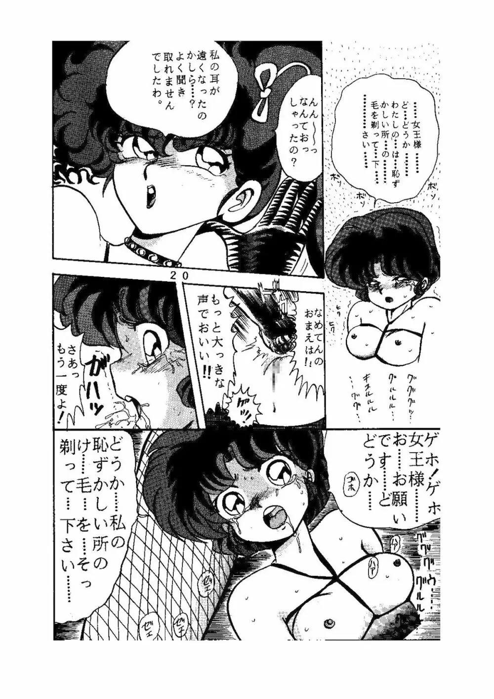 sadistic LaserDisc 黒薔薇館 Page.21