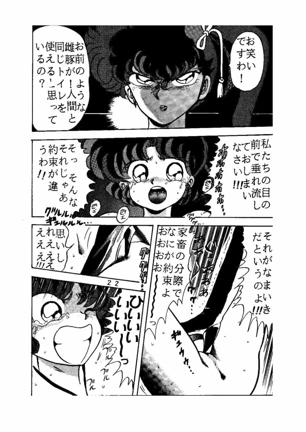 sadistic LaserDisc 黒薔薇館 Page.23