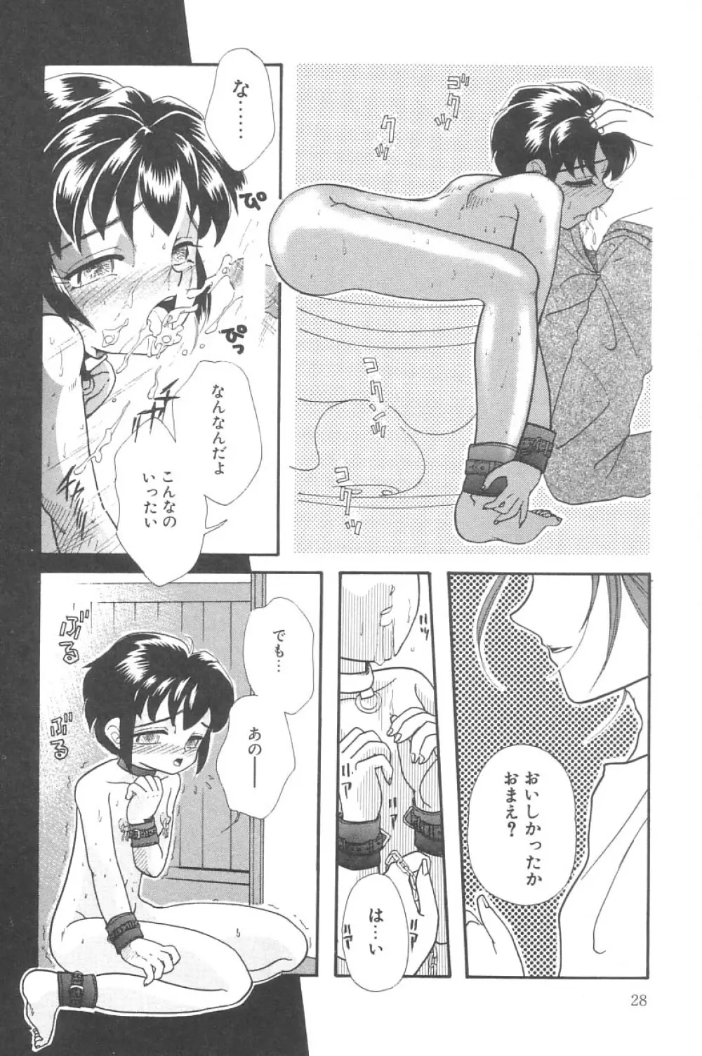 リトルピアス Vol.02 Page.28