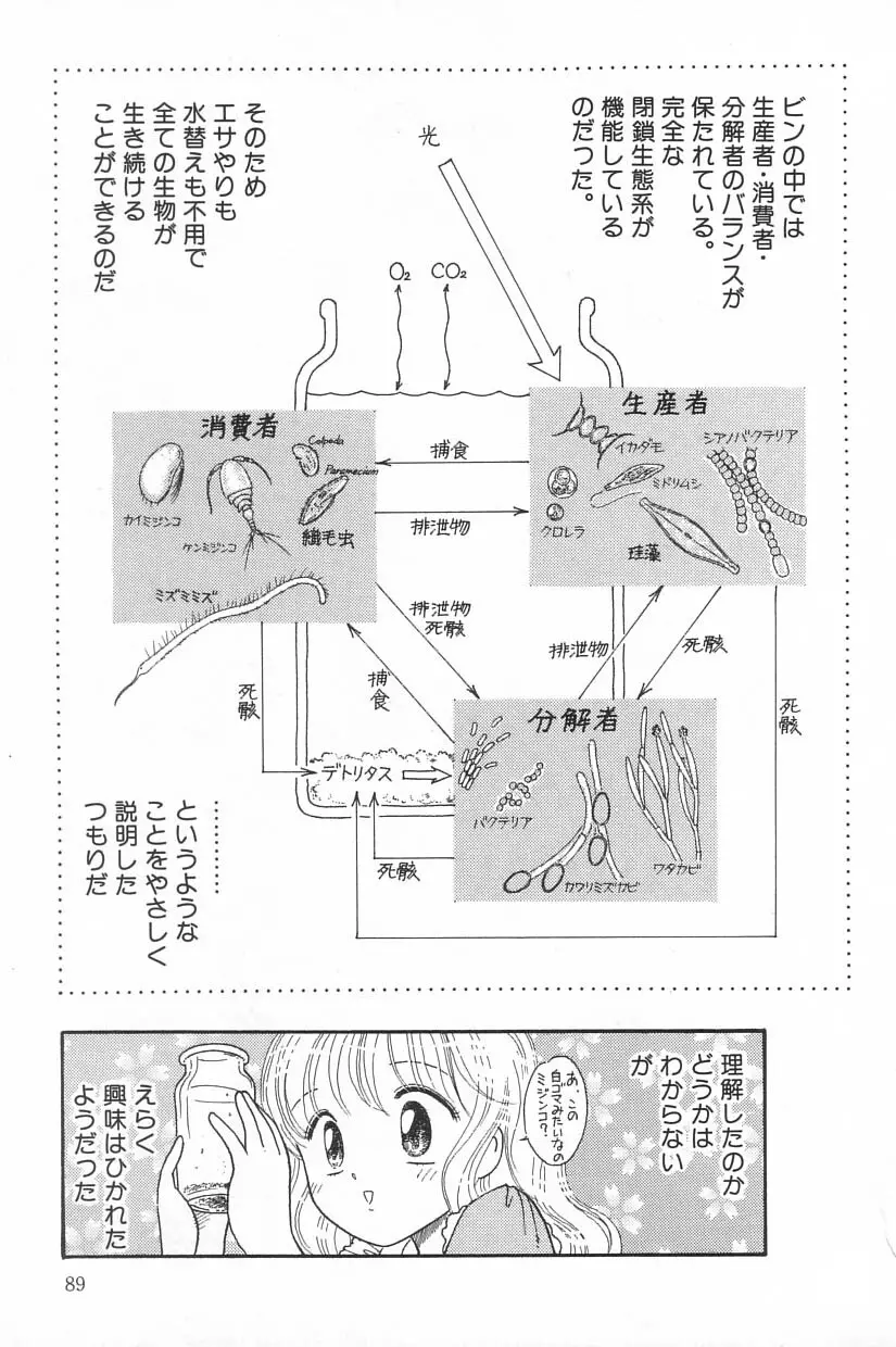 リトルピアス Vol.20 Page.89