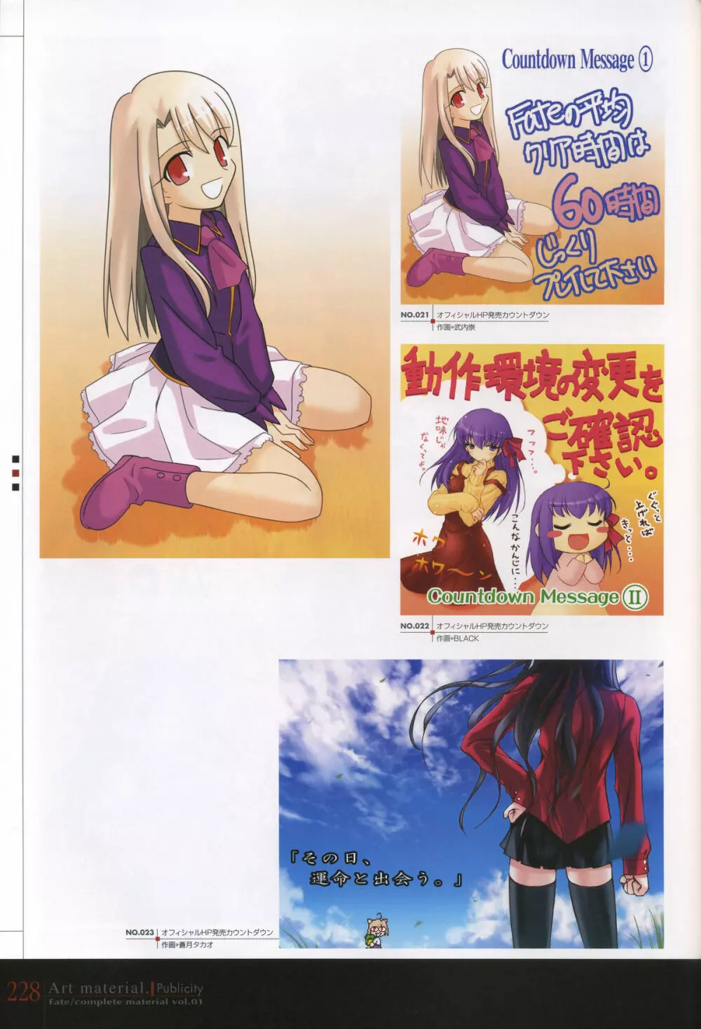 フェイト/コンプリートマテリアルⅠ アートマテリアル。 Page.233