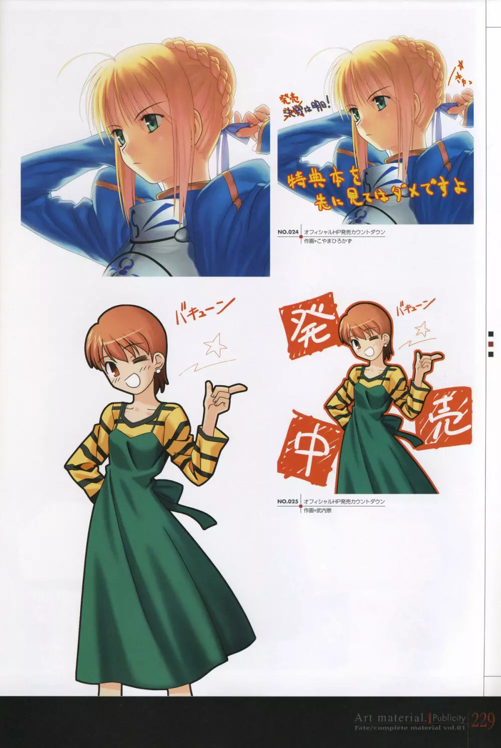 フェイト/コンプリートマテリアルⅠ アートマテリアル。 Page.234