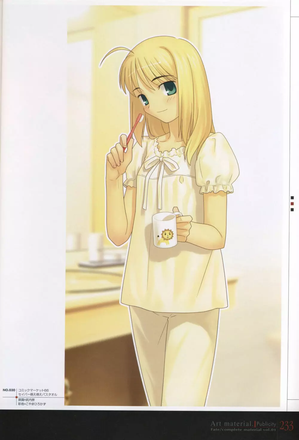 フェイト/コンプリートマテリアルⅠ アートマテリアル。 Page.238